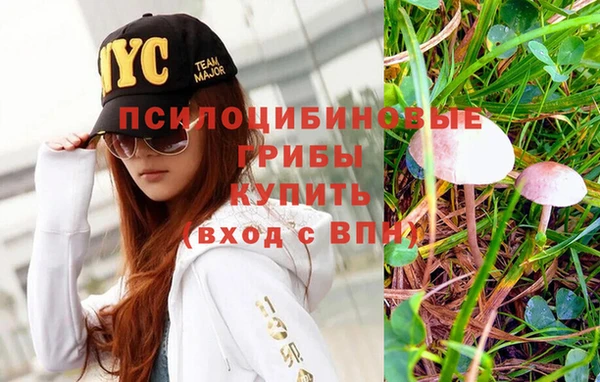 COCAINE Кукмор